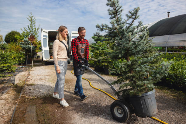 Leaf Removal in Lexington, OK