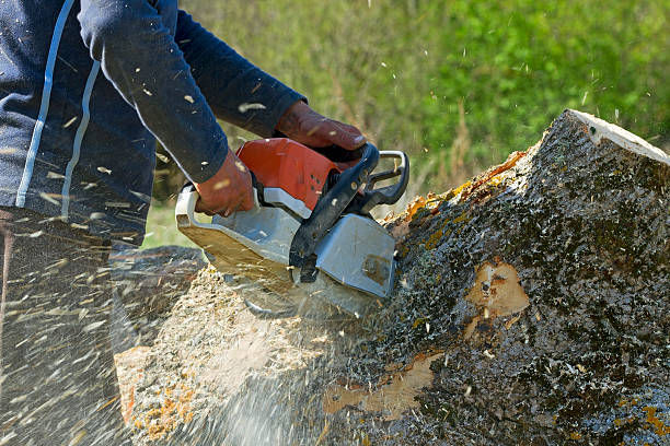 Lawn Maintenance Plans in Lexington, OK